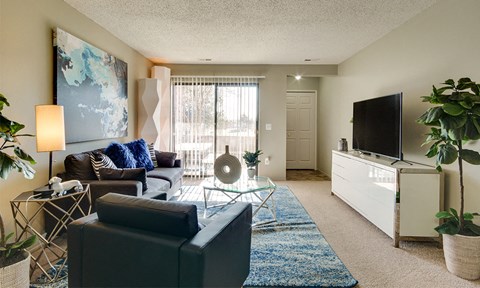 an apartment living room with a couch and a tv